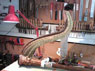 foto 5 colonna